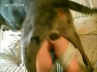 [ Pet Porn Film ] Doggy style with her Dog
